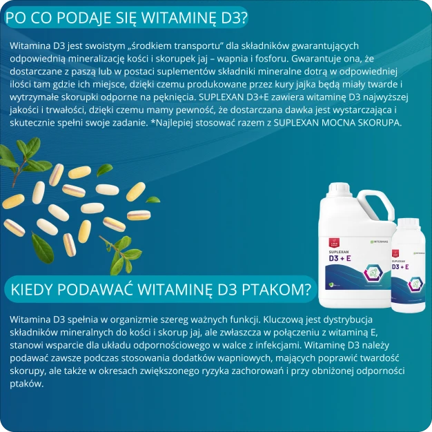 Witamina D3 i E dla drobiu na mocne skorupy