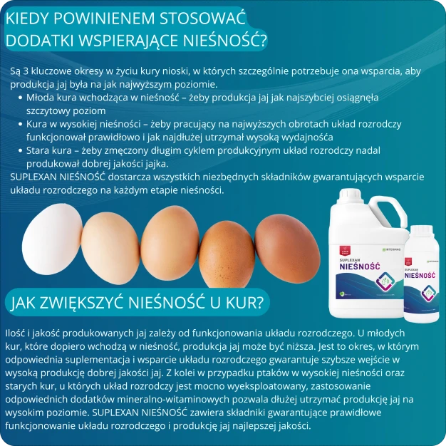 Suplement dla niosek wspierający produkcję jaj