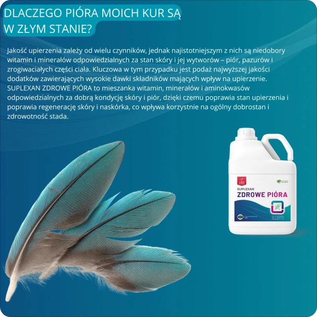 Zdrowe pióra i skóra kur  suplement witaminowy