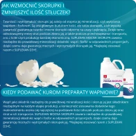 Jak zmniejszyć stłuczki i wzmocnić skorupki jaj