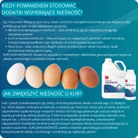 Jak zwiększyć nieśność u kur i jakość jaj