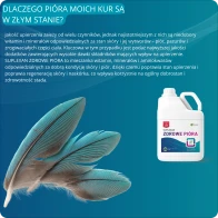 Zdrowe pióra i skóra kur  suplement witaminowy